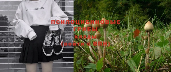 мяу мяу мука Алексин
