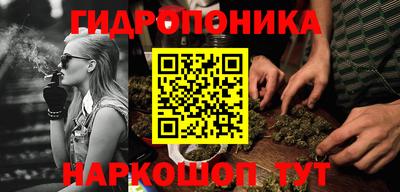 стафф Пыть-Ях