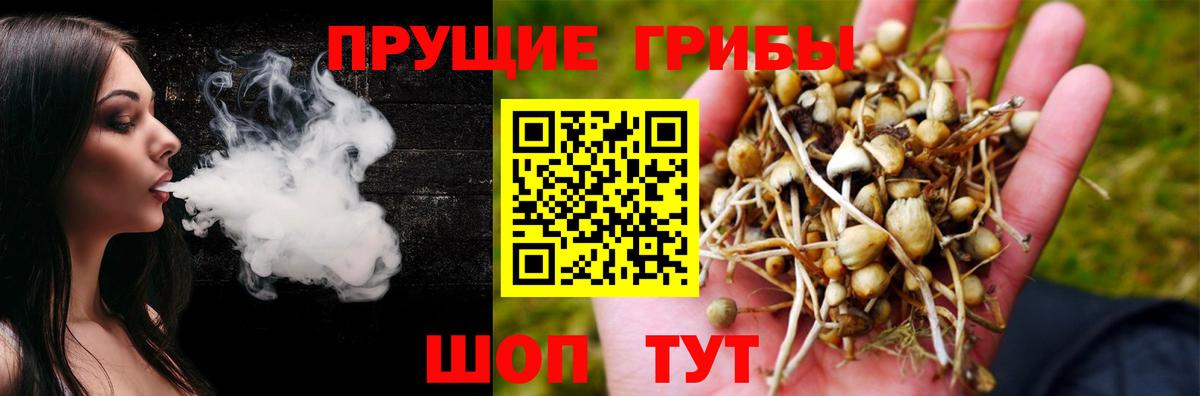 Галлюциногенные грибы MAGIC MUSHROOMS  Вход с VPN  Урай  Галлюциногенные грибы мухоморы 